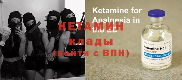 прущие грибы Абинск