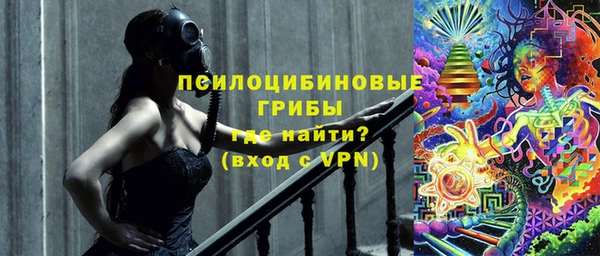 мяу мяу мука Алзамай